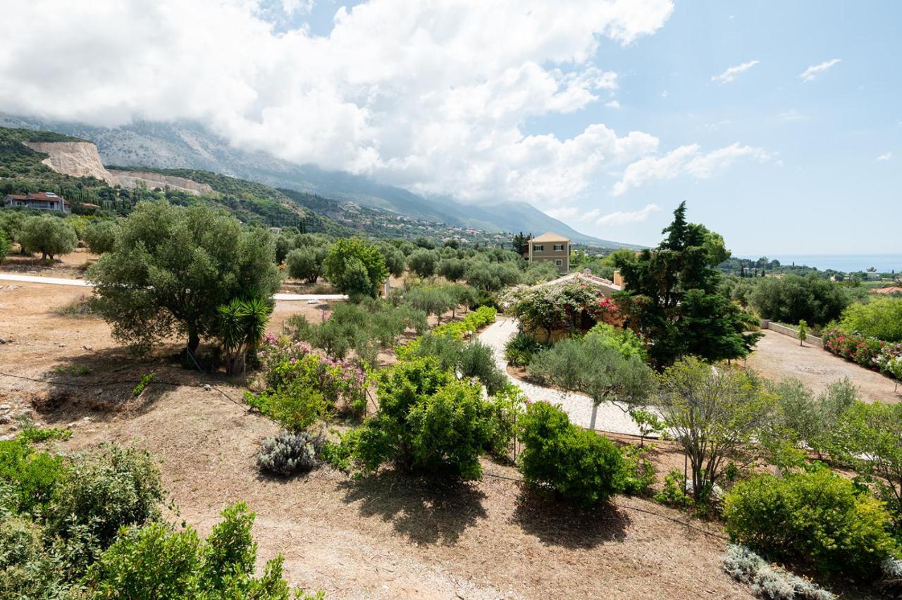 Stone House In Olive Grove - Former Denis Stone Villa ترابيزاكي المظهر الخارجي الصورة